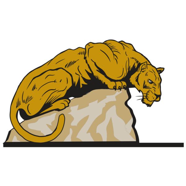 AR10 PANTHER 01 RQC Thumbnail